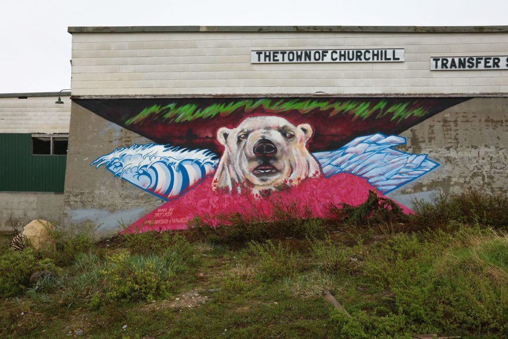 PangeaSeed Foundation