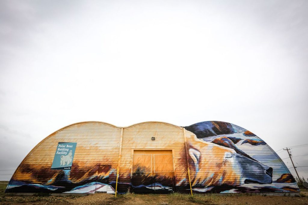 PangeaSeed Foundation