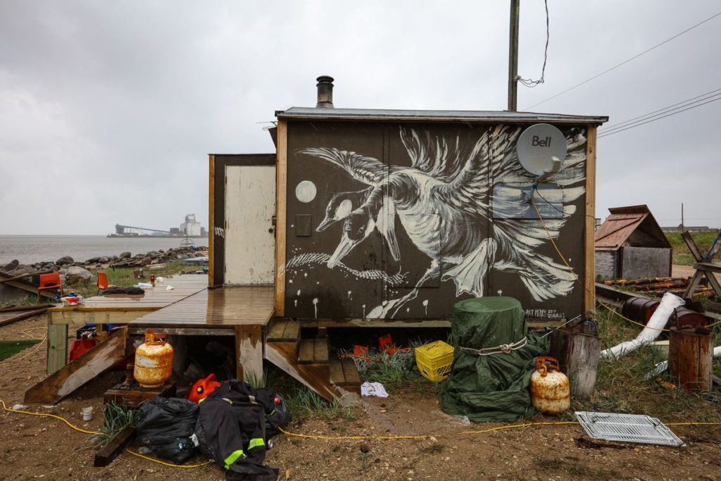 PangeaSeed Foundation