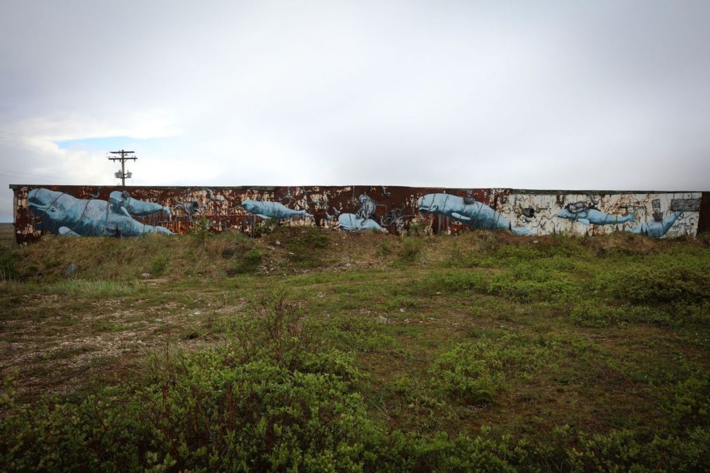 PangeaSeed Foundation