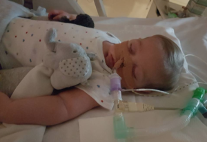 Immagine di copertina