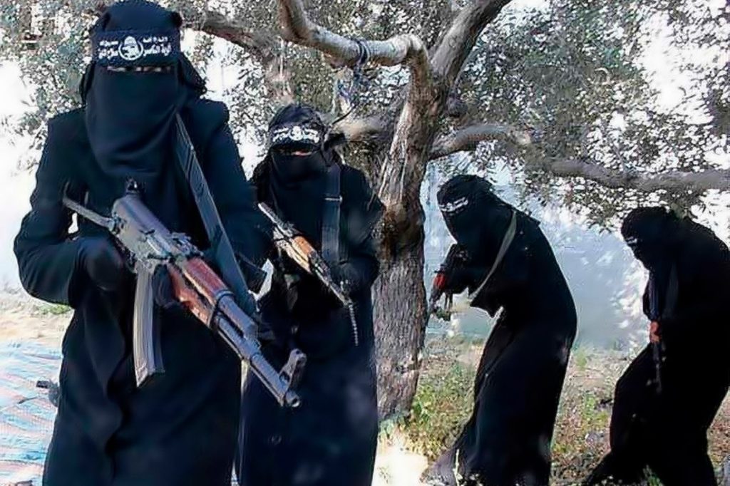 isis donne