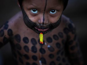 Immagine di copertina