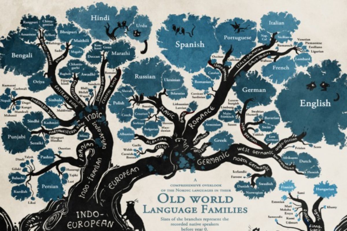 Albero genealogico lingue mondo
