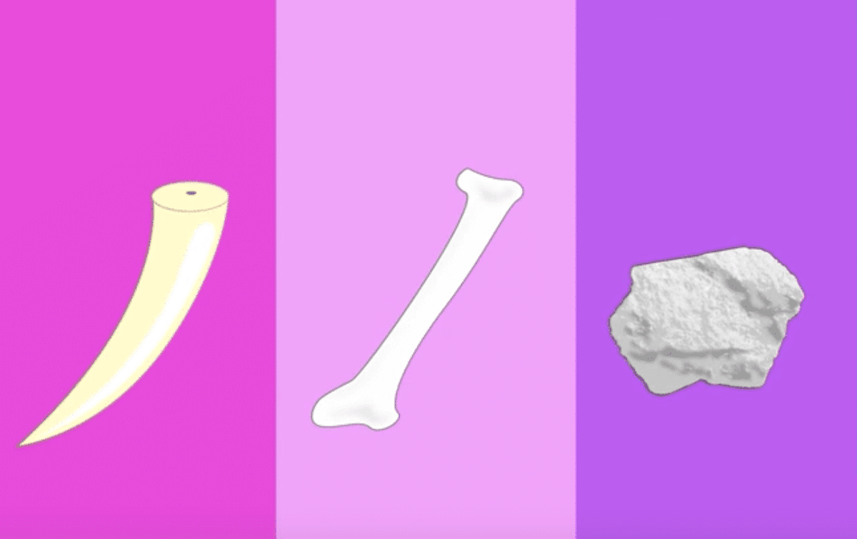 L'evoluzione dei sex toys da 30mila anni fa a oggi