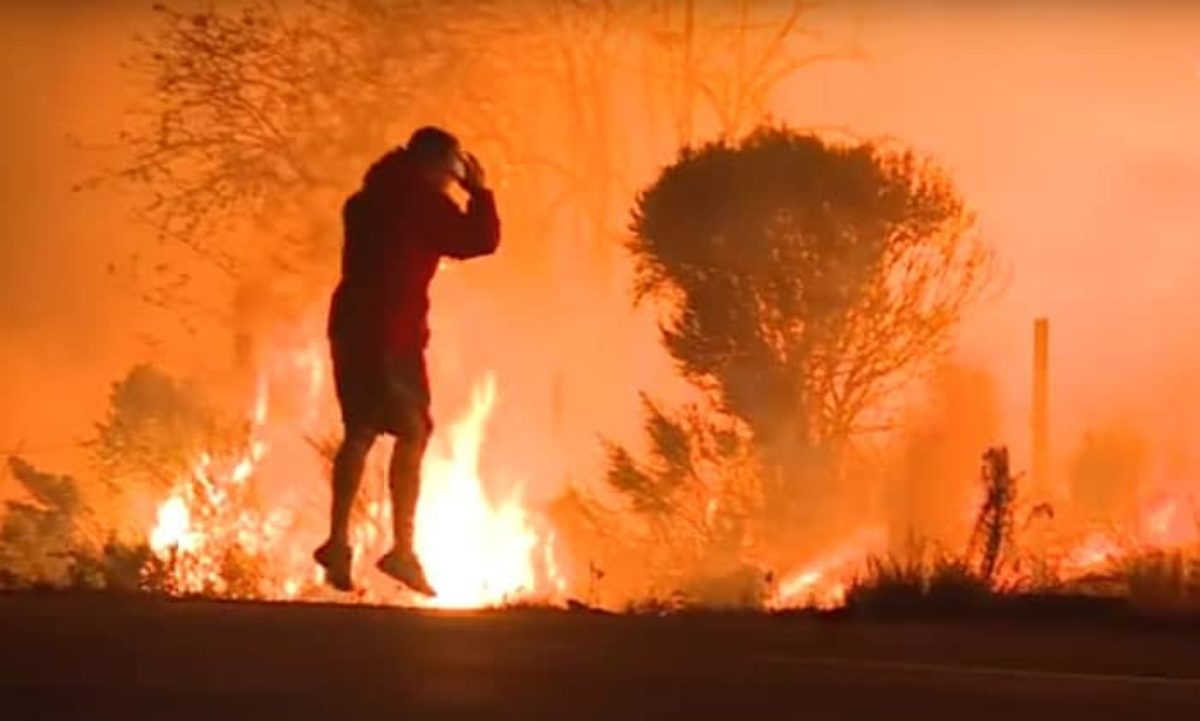 L'uomo che ha rischiato la vita per salvare un coniglio dagli incendi in California