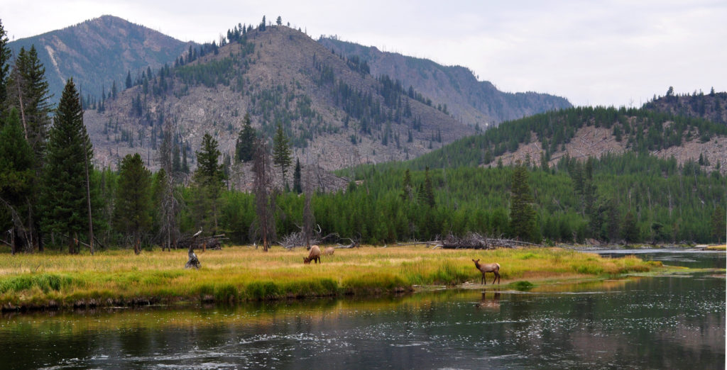 zona della morte stati uniti