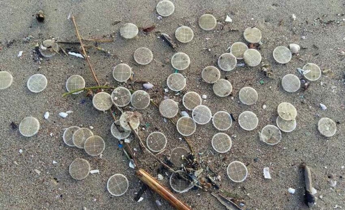 dischetti plastica spiagge italiane