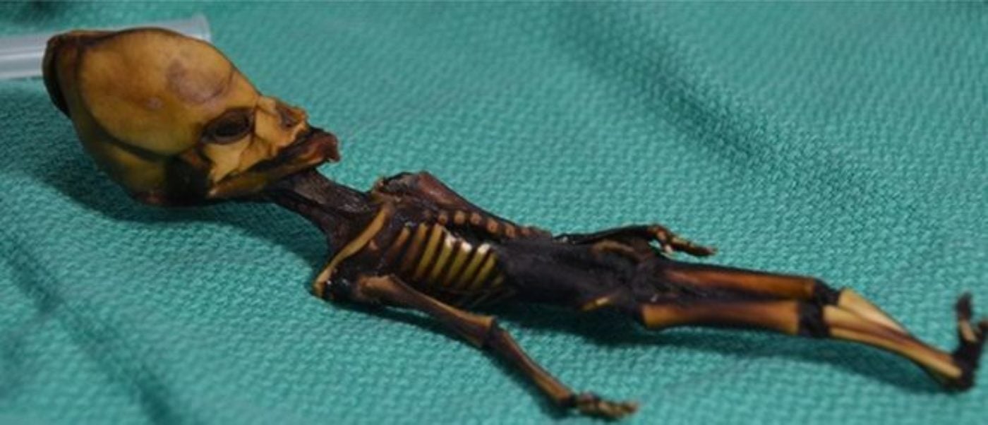 origine misteriosa mummia cile