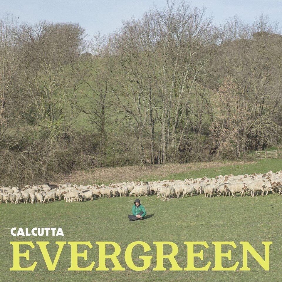 Calcutta uscita nuovo album Evergreen