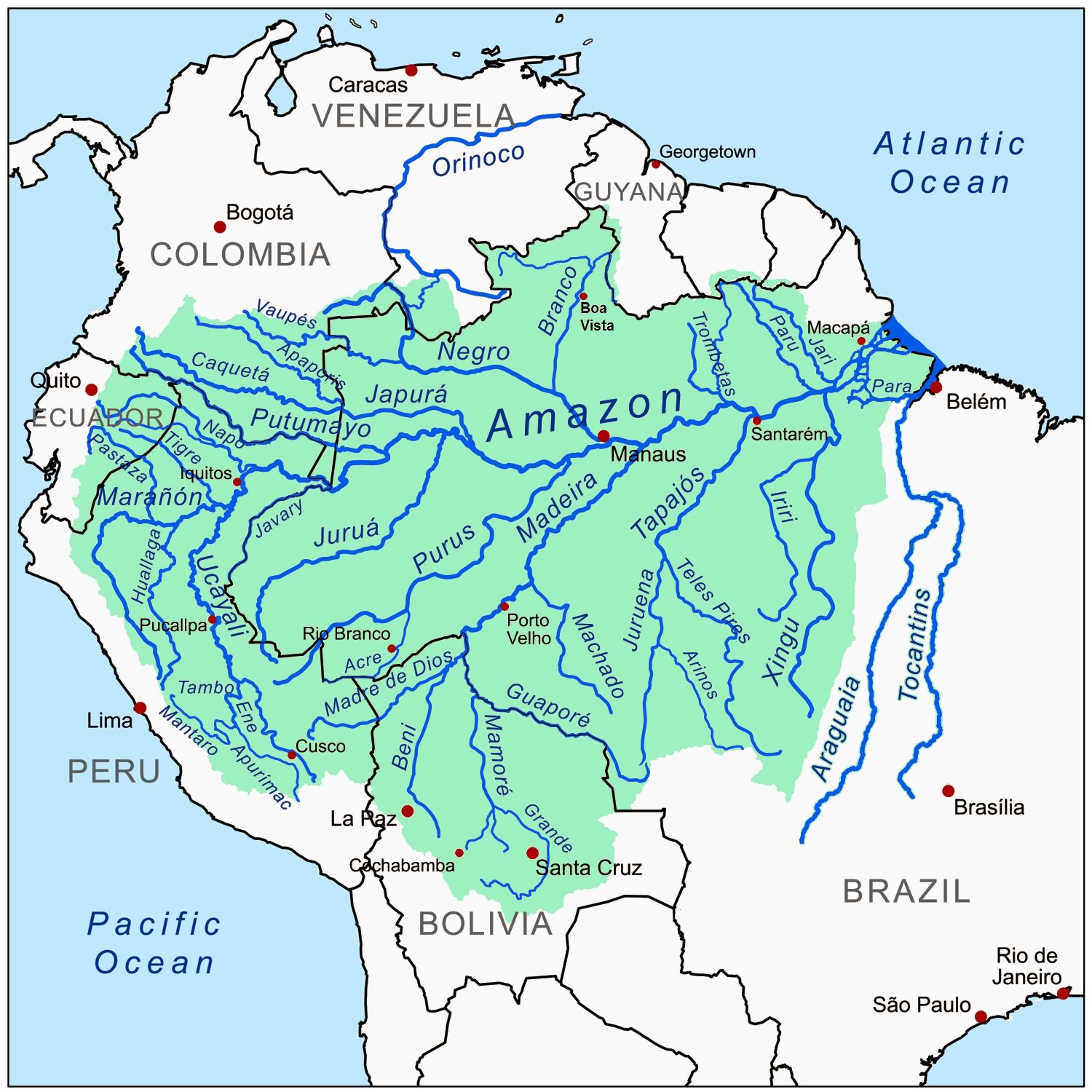 foresta amazzonica soggetto giuridico