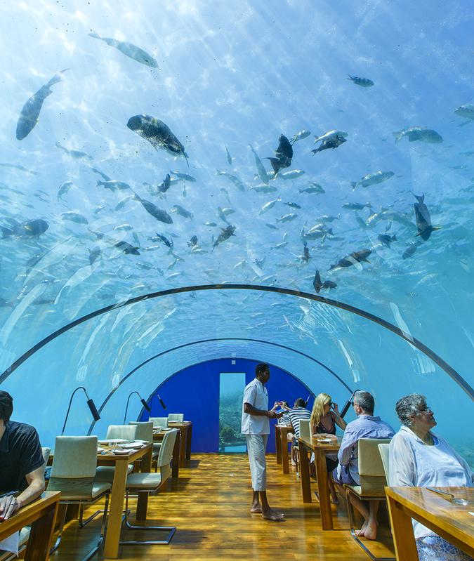 maldive ristorante mangia sottacqua