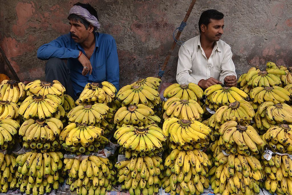banane estinzione