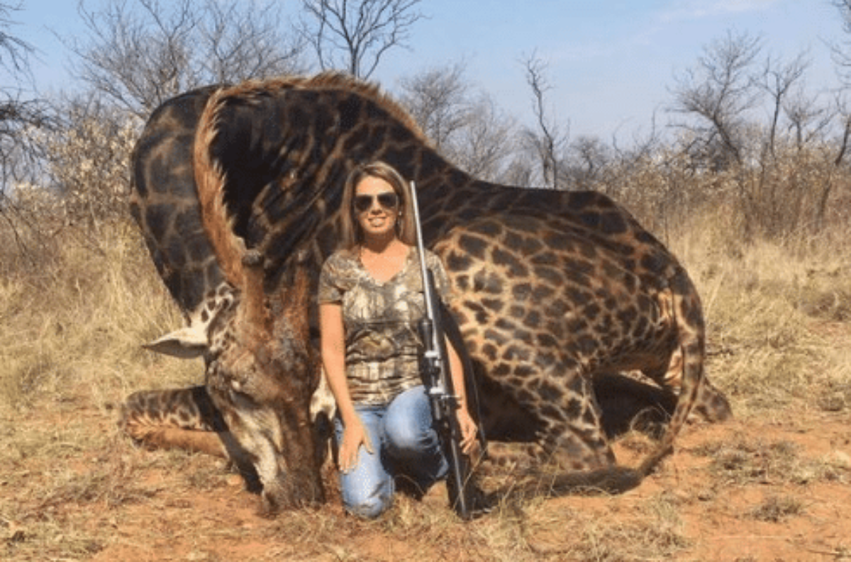 donna giraffa uccisa foto