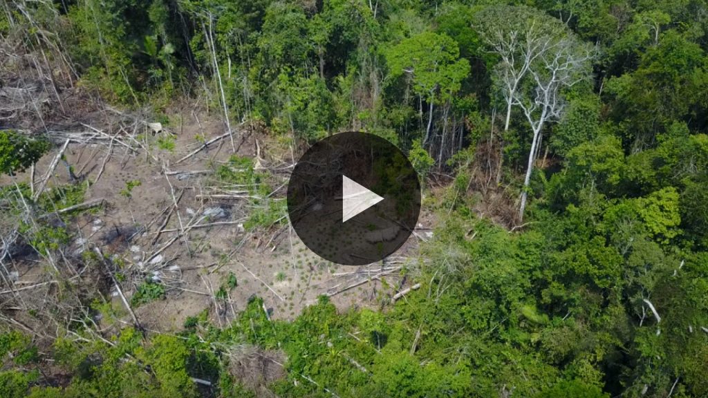 tribu amazzonica drone video