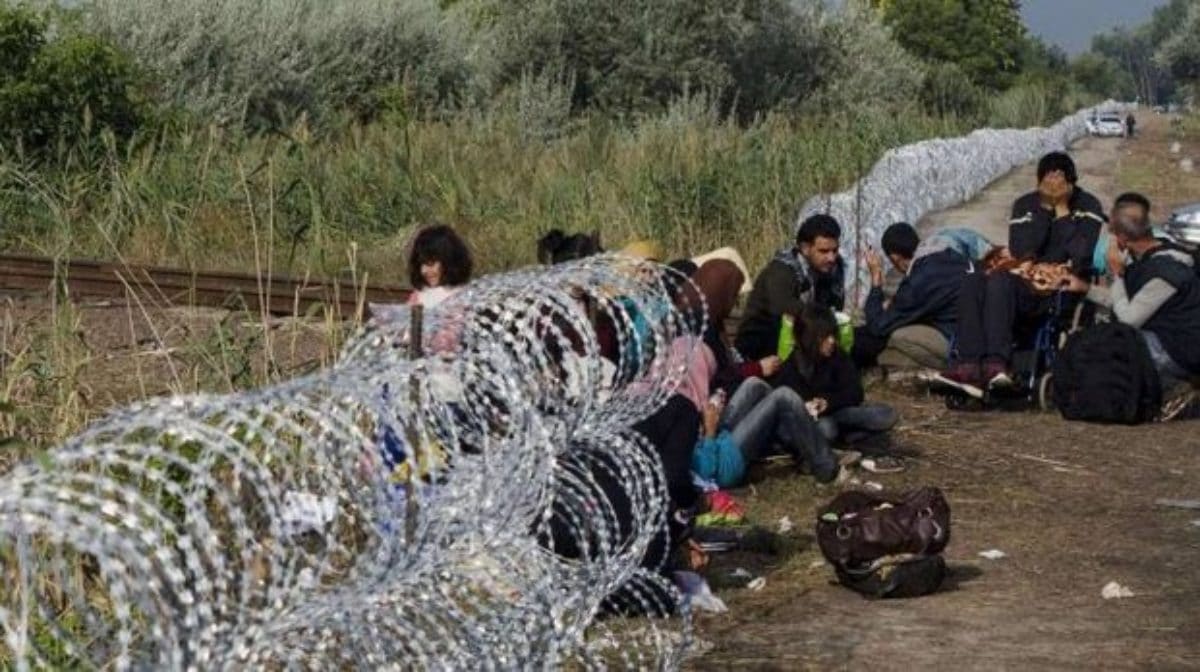 ungheria espulsioni richiedenti asilo