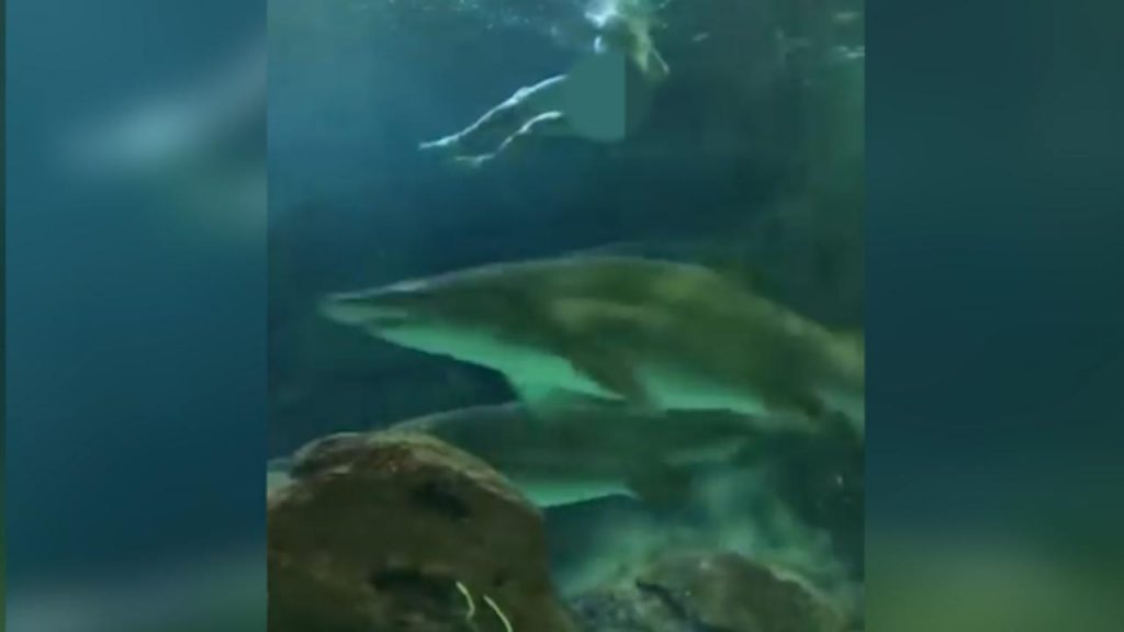 uomo nudo acquario squali