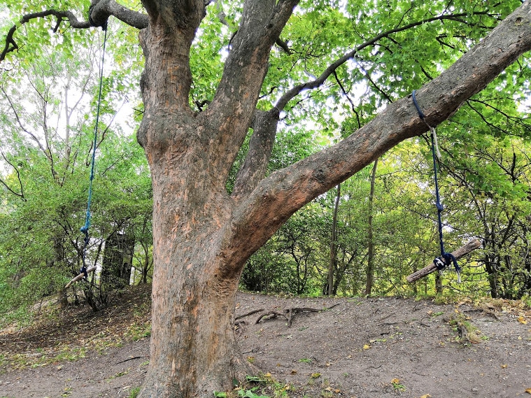 Altalena a Christiania