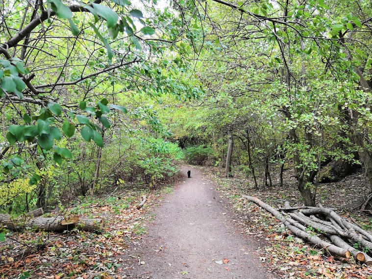 Il bosco di Christiania