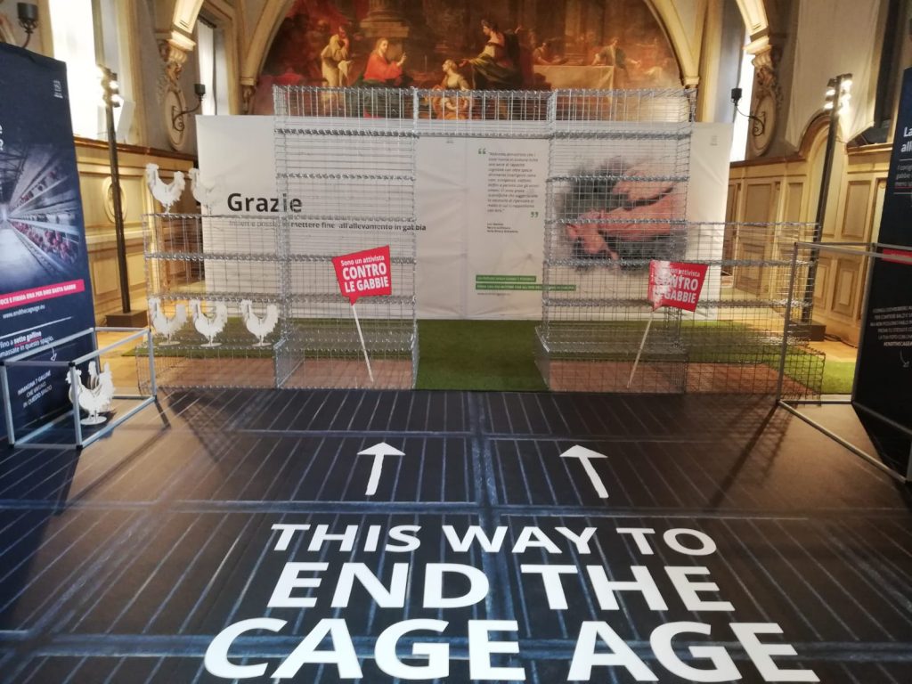 Raccolta firme contro gabbie allevamenti