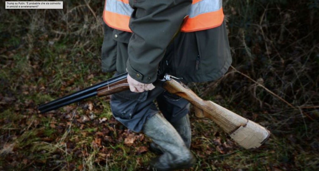 incidente caccia fagiano