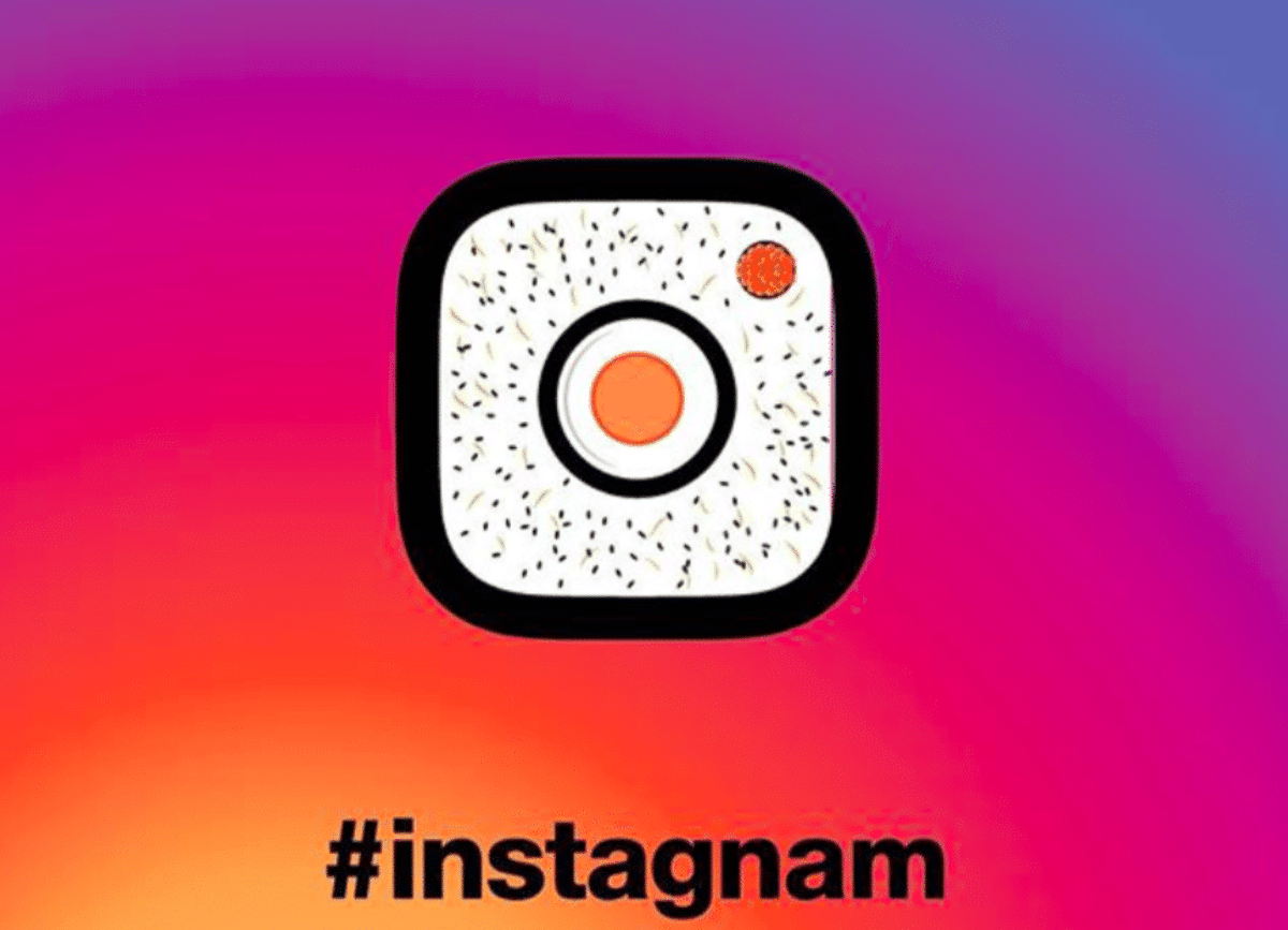 sushi gratis follower instagram