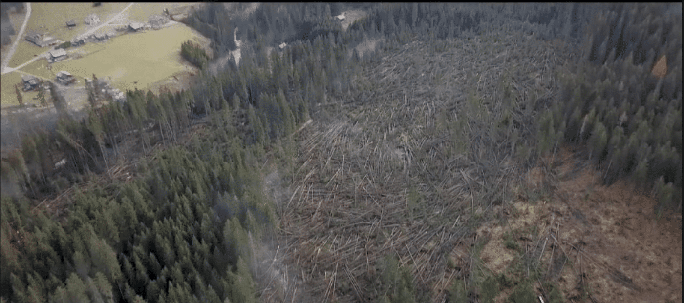 maltempo coldiretti alberi distrutti