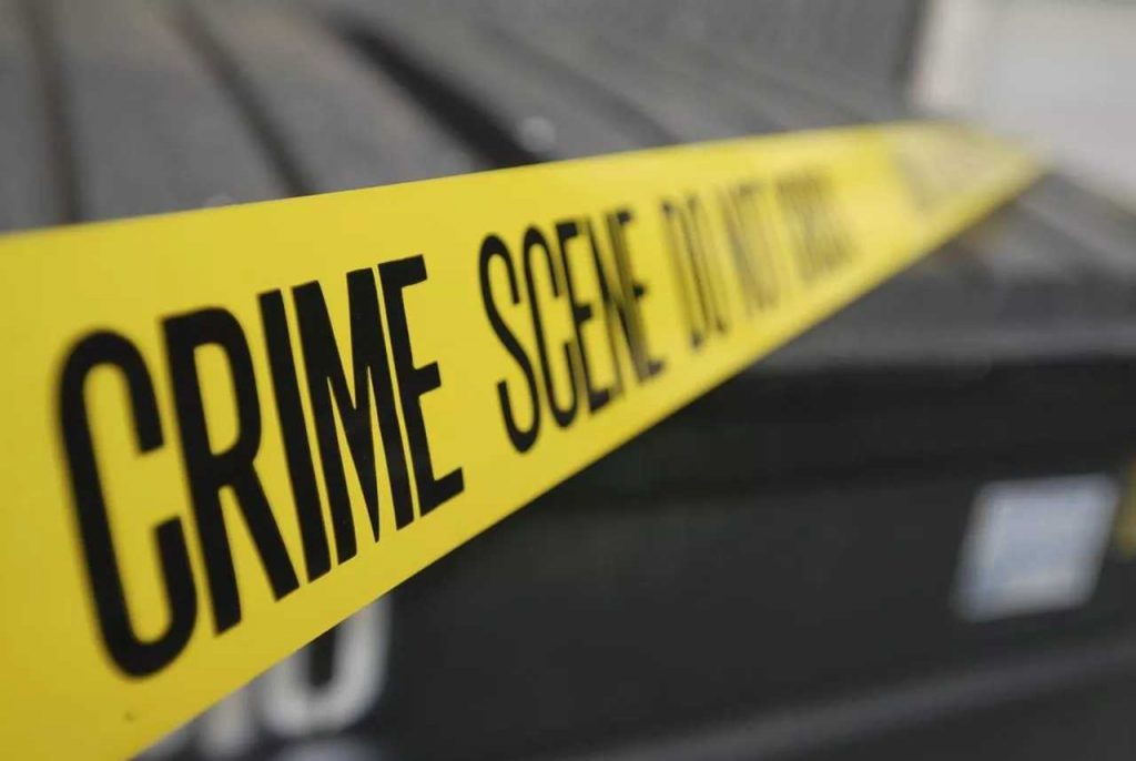 ragazzo uccide nonna suicida