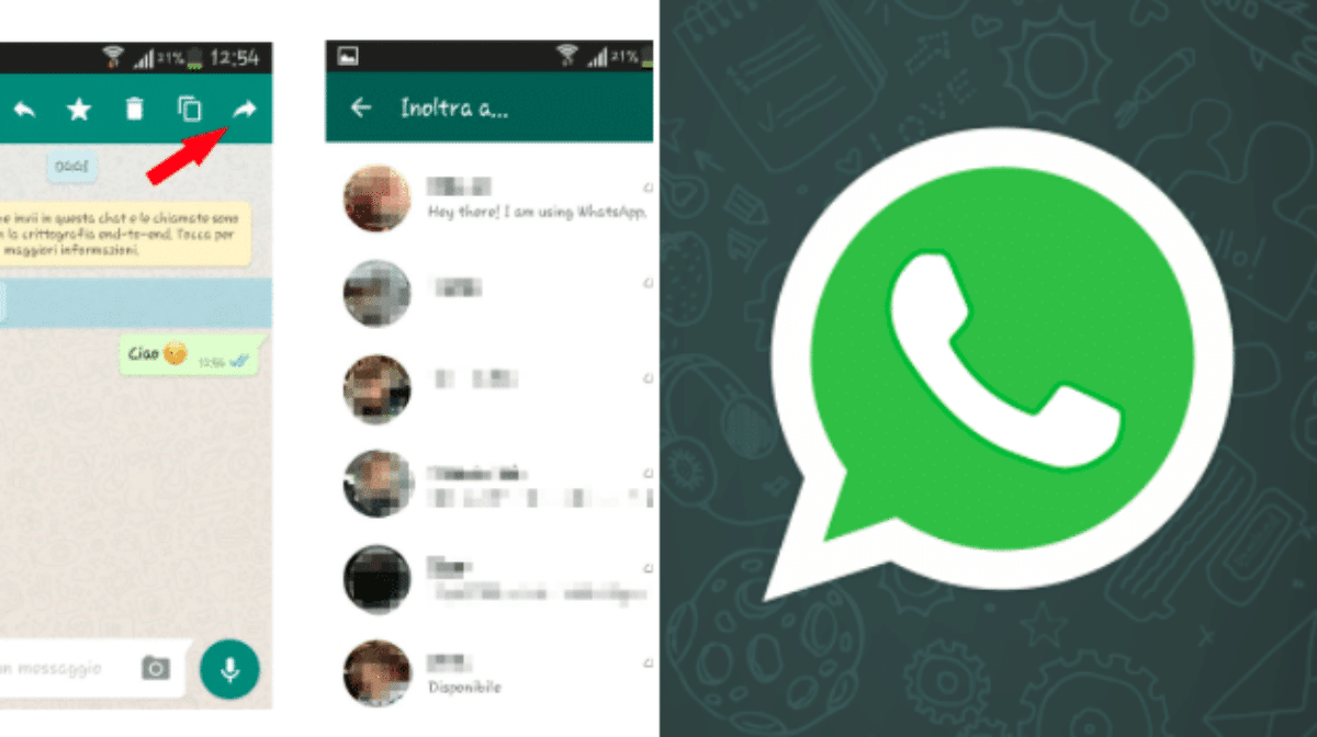 WhatsApp, stop a inoltra messaggi a tutti cambiano le regole