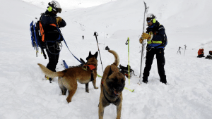 Immagine di copertina