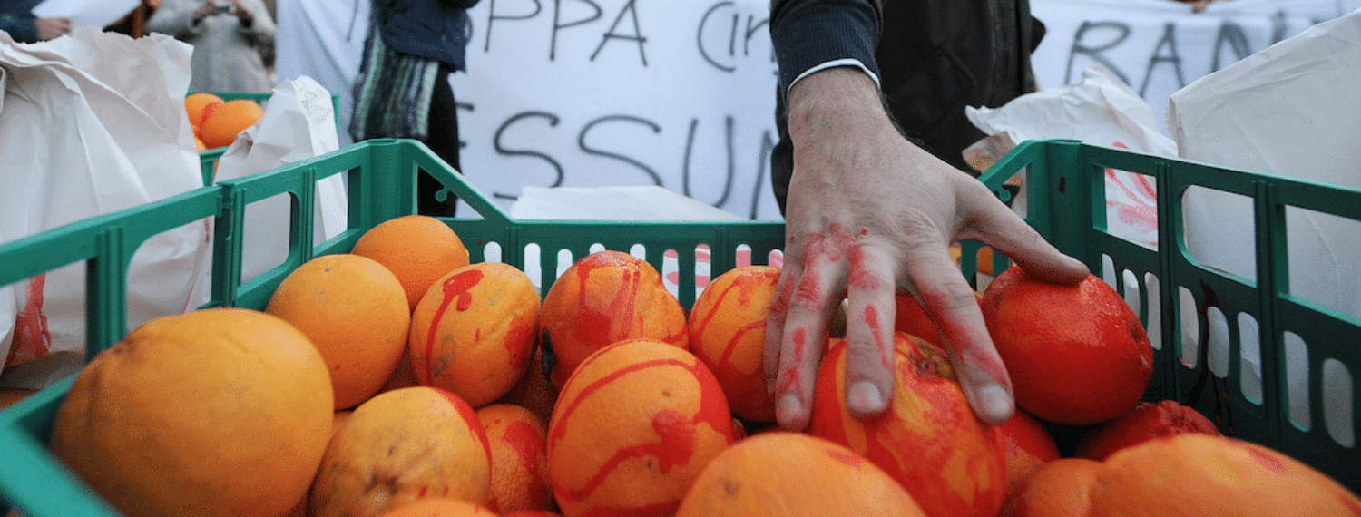 san ferdinando arance italiane