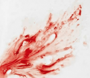 Immagine di copertina