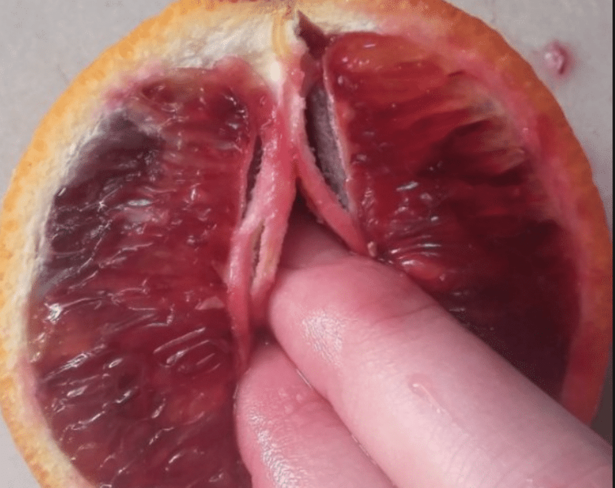 non una di meno verona congresso