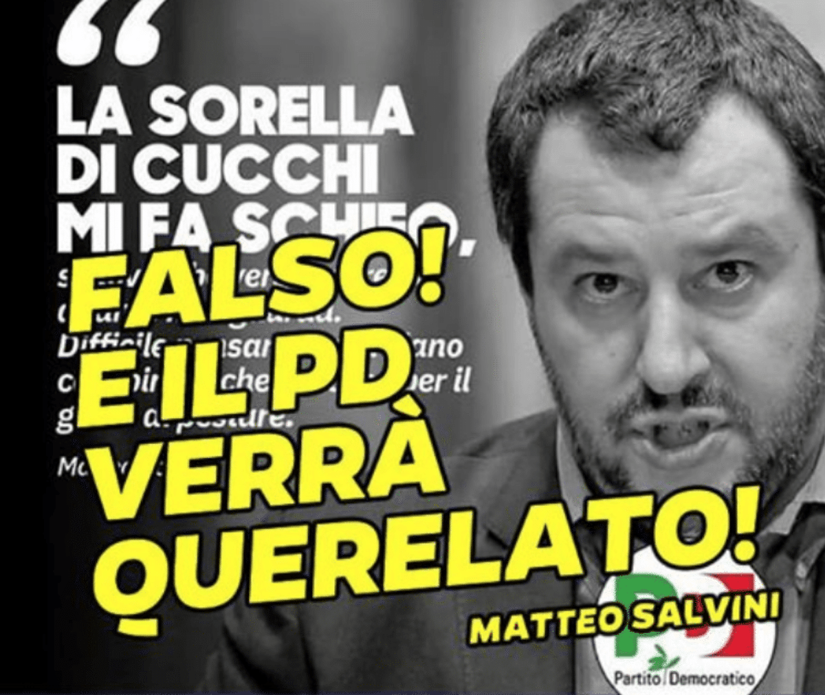 salvini cucchi querela