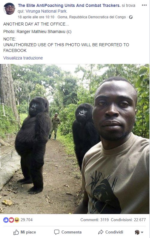 selfie ranger gorilla storia