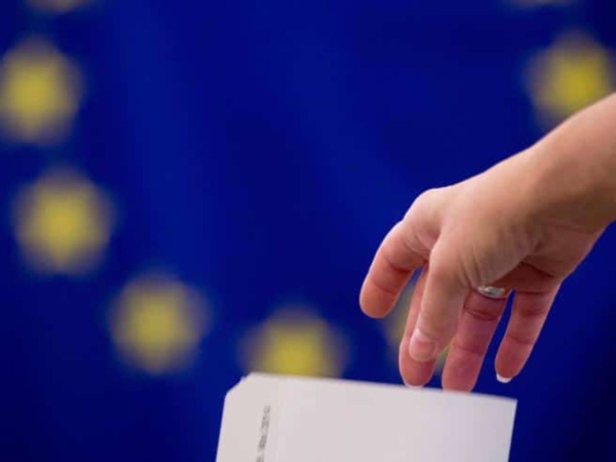 Elezioni europee Belgio 2019 risultati