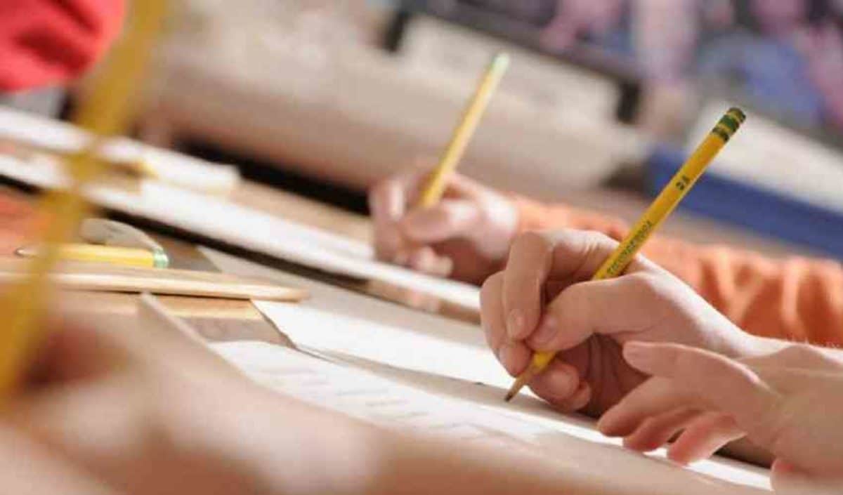 Concorso Navigator news