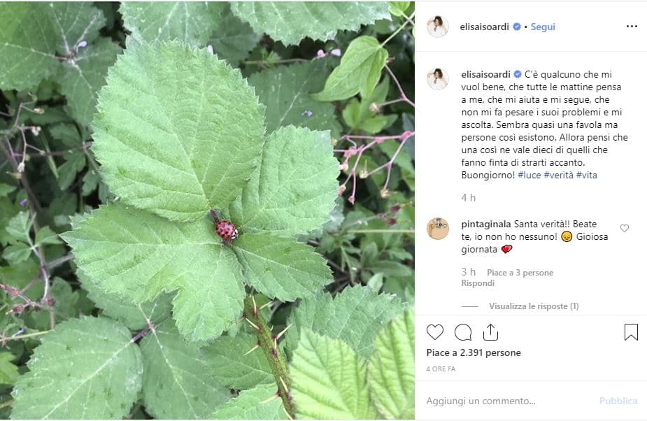 elisa isoardi innamorata