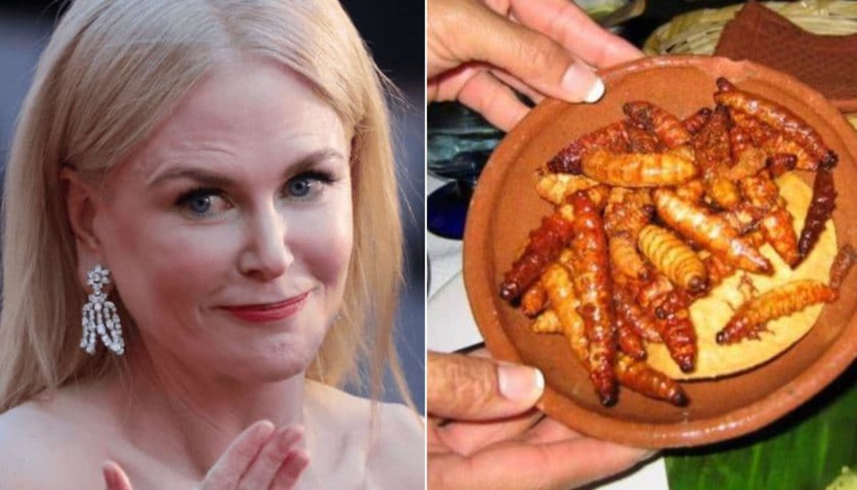 Nicole Kidman mangia insetti