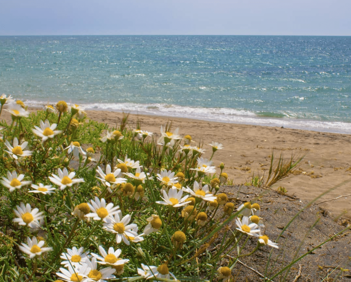 Spiagge plastic free Italia