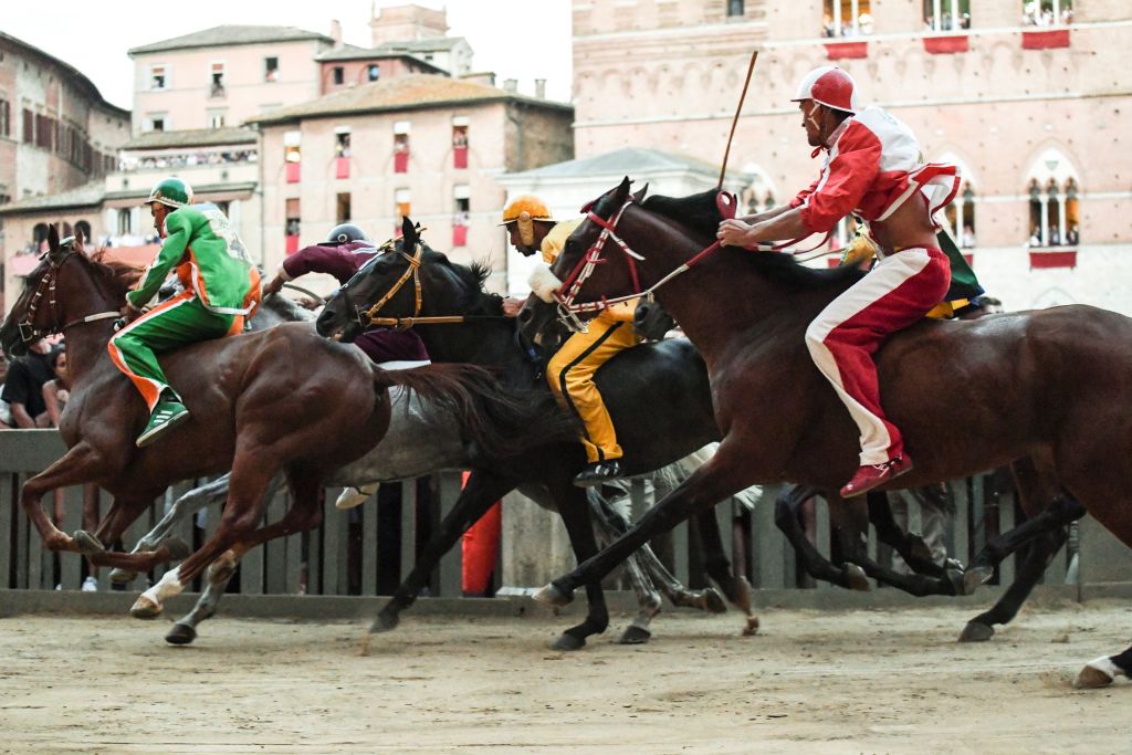 Palio di Siena 2019 incidente cavallo