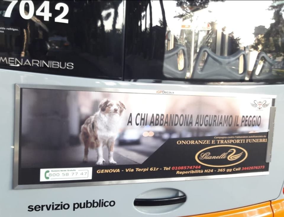 Spot abbandono cani Genova