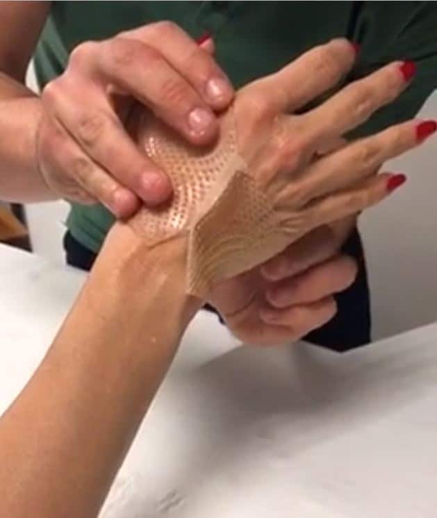 pamela anderson picchiata fidanzato