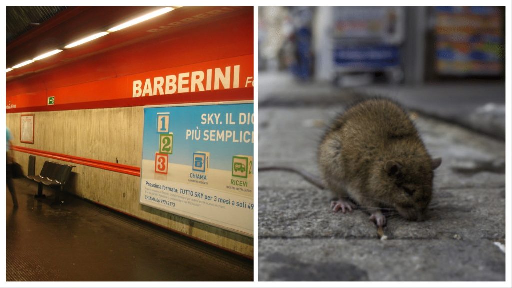 roma invasione topi stazione metro barberini