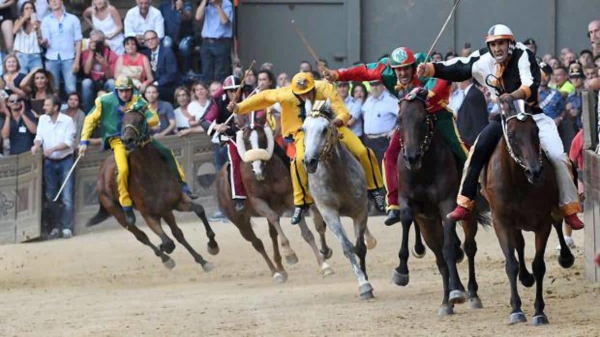 Palio di Siena 2019 cavalli Oggi 16 agosto Fantini Accoppiamenti