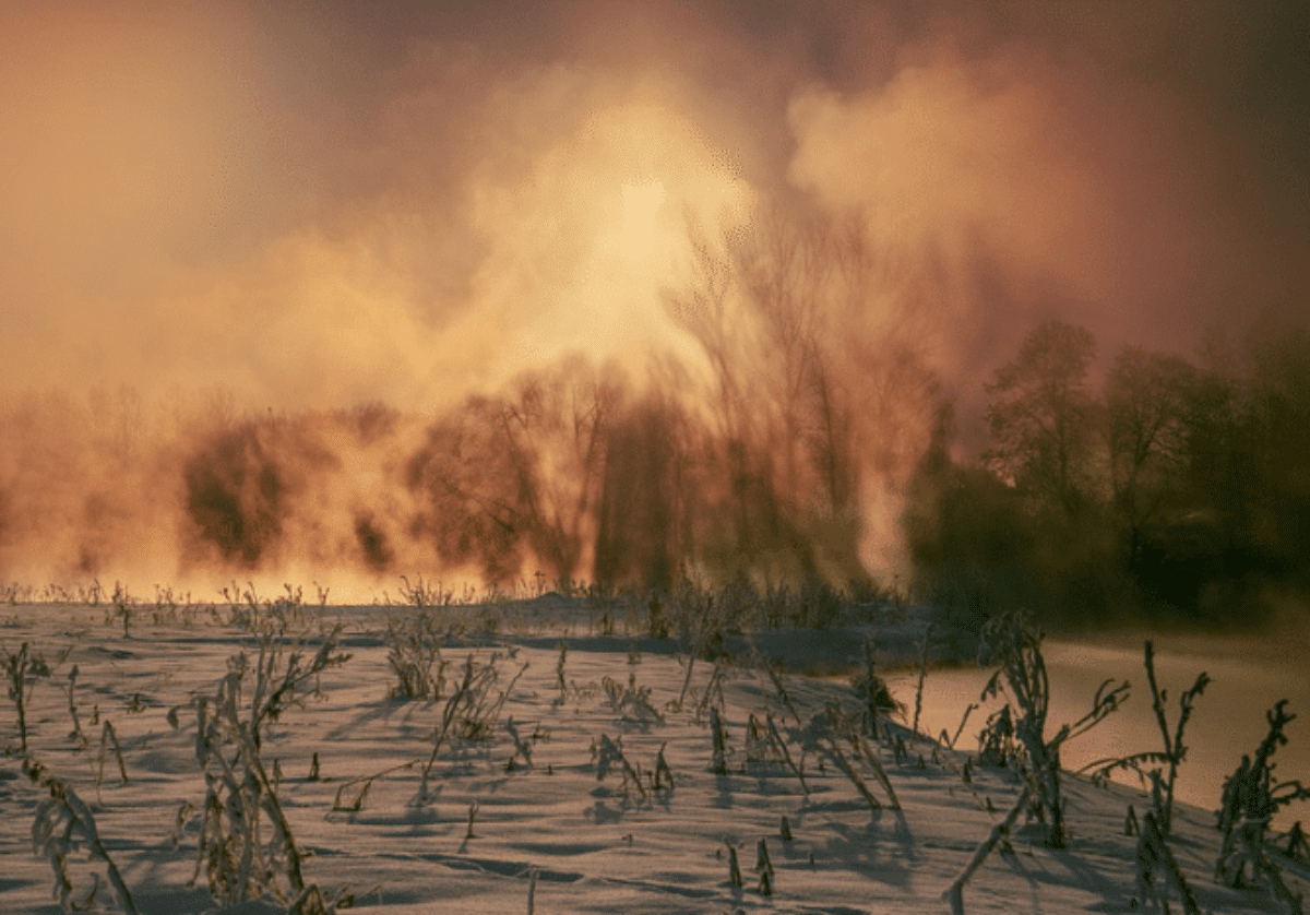Russia incendi foreste