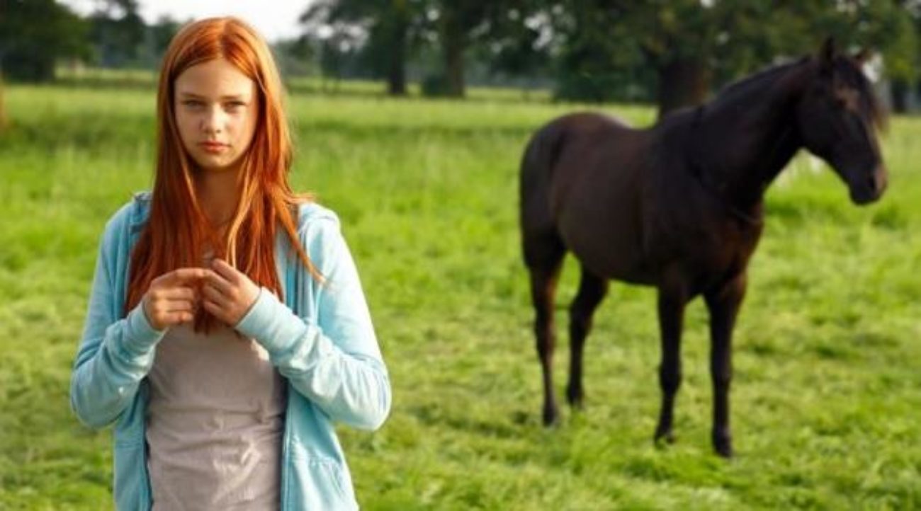 Windstorm Liberi nel vento trama di cosa parla il film in onda su