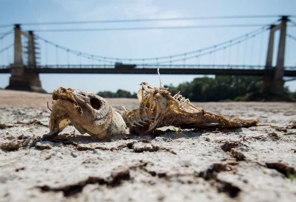 cambiamento climatico rapporto onu