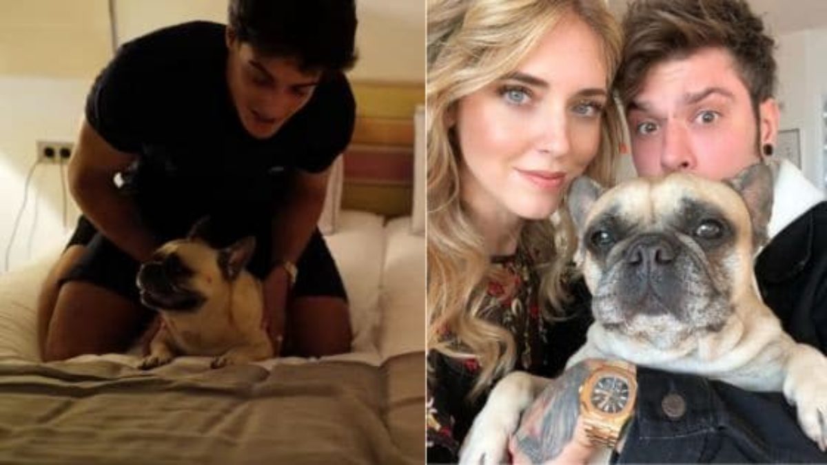 Fedez Il Cane Di Chiara Ferragni Canzone