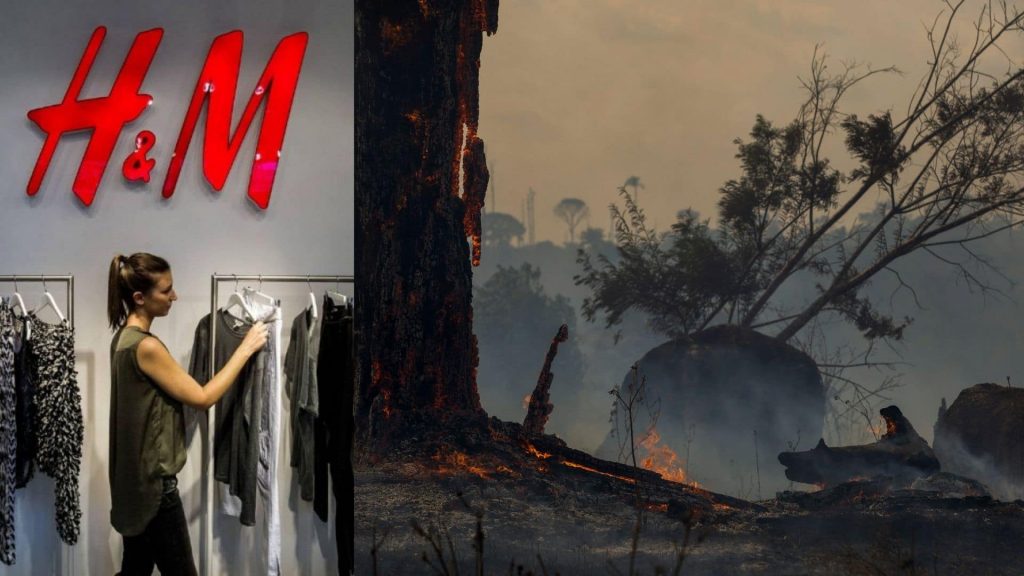 amazzonia h&m stop pelle